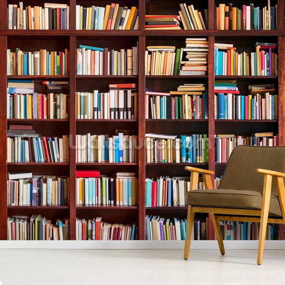 Bookcase Wallpaper Mural | Wallsauce AU