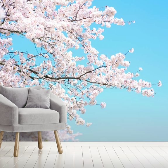 Pink Blossom Wallpaper Mural | Wallsauce EU