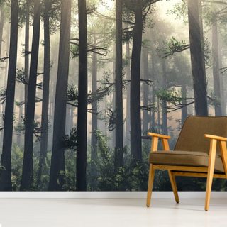 Forest Wallpaper & Tree Wallpaper Murals | Wallsauce NZ