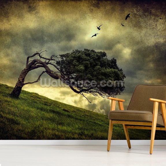 Winds of Change Wall Mural | Wallsauce NZ