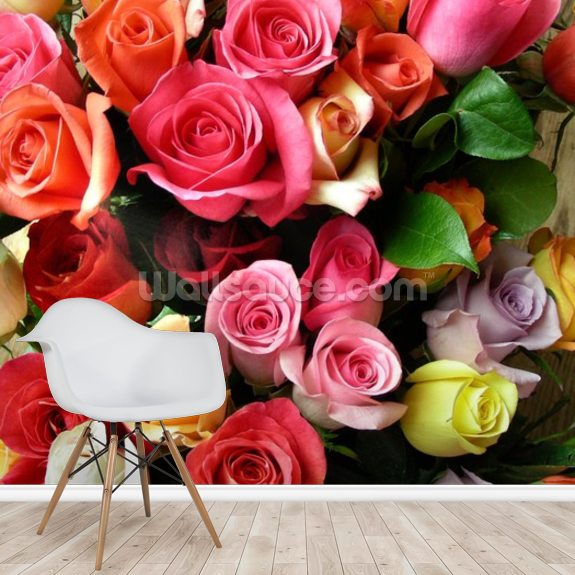 Roses Wallpaper | Wallsauce AU