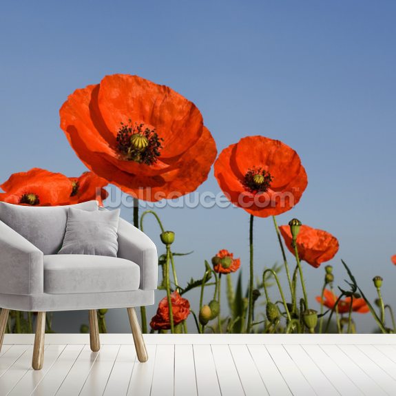 Poppy Wall Mural Wallsauce Uk