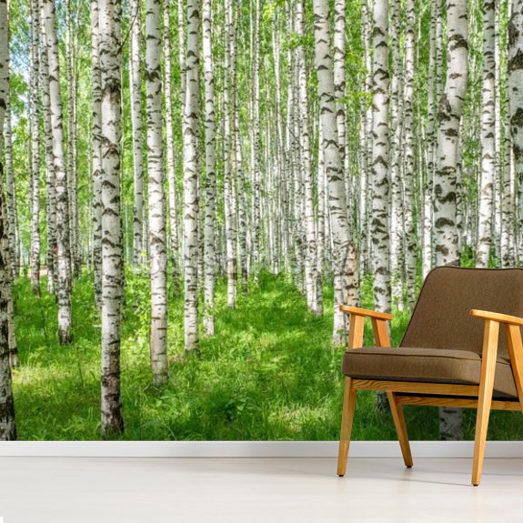 White Birch Trees Wallpaper | Wallsauce US