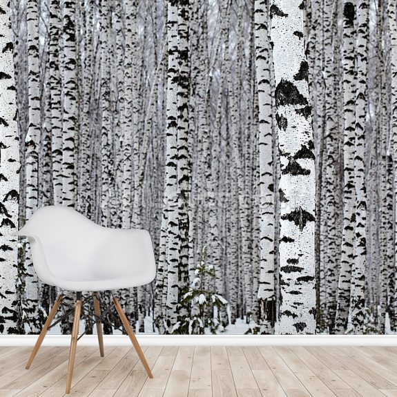 Silver Birch Wood Wallpaper | Wallsauce CA