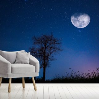 Moon Wallpaper Murals | Wallsauce US