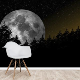 Moon Wallpaper Murals | Wallsauce US