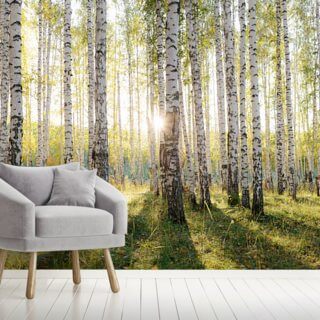 Enchanted Woodland Wallpaper | Wallsauce EU