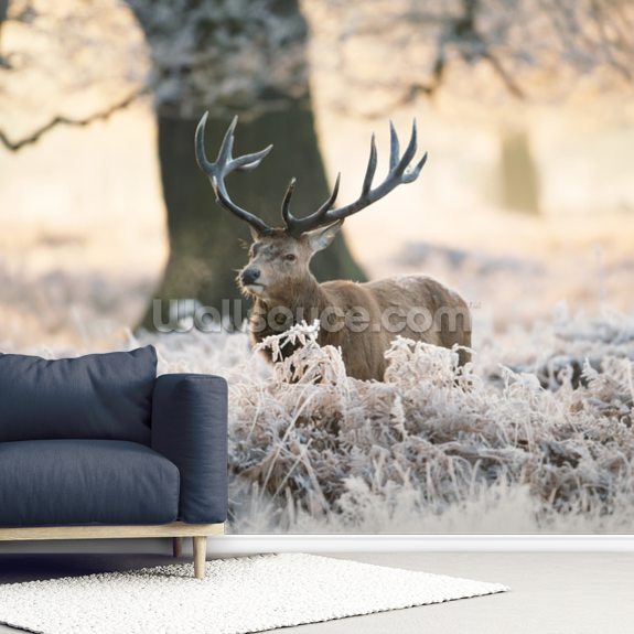 Stag Deer Wood Panel Wallpaper Love Grey Cream Beige Holden Decor