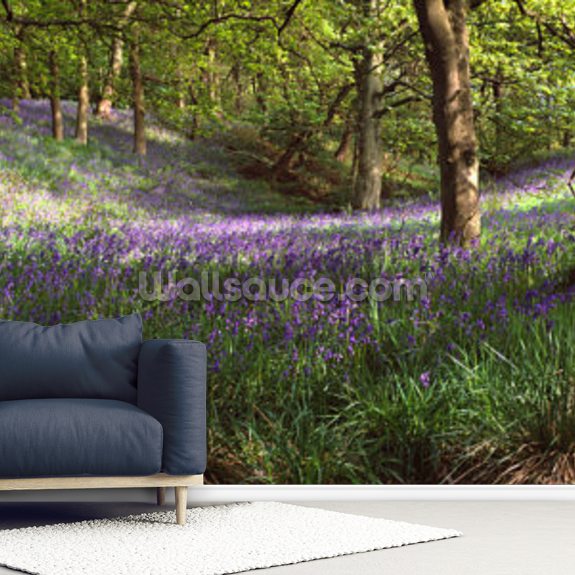 Bluebells In A Forest Wall Mural | Wallsauce UK