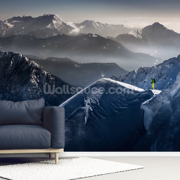 Silent Moments before Descent Wall Mural | Wallsauce UK