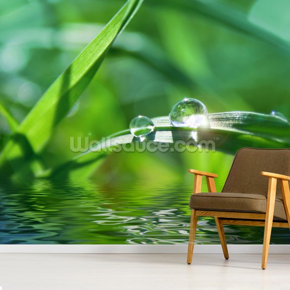 Water Droplet Wallpaper Mural | Wallsauce UK