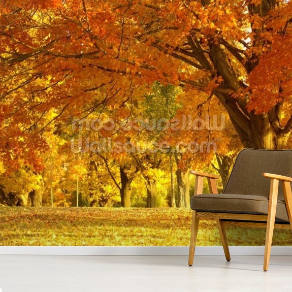 Orange Autumn Scene Wallpaper | Wallsauce UK