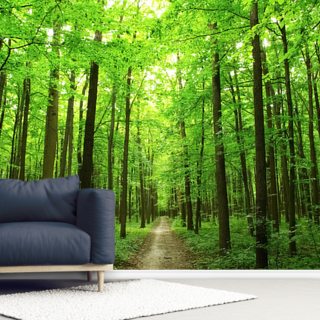 Forest Wallpaper & Tree Wallpaper Murals | Wallsauce US