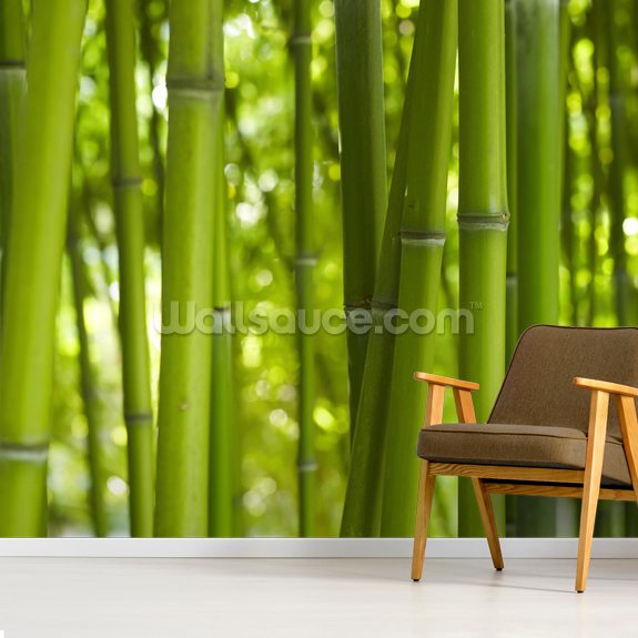 Photo wallpaper with a bamboo theme - Demural blog - Wall Murals and  decorations