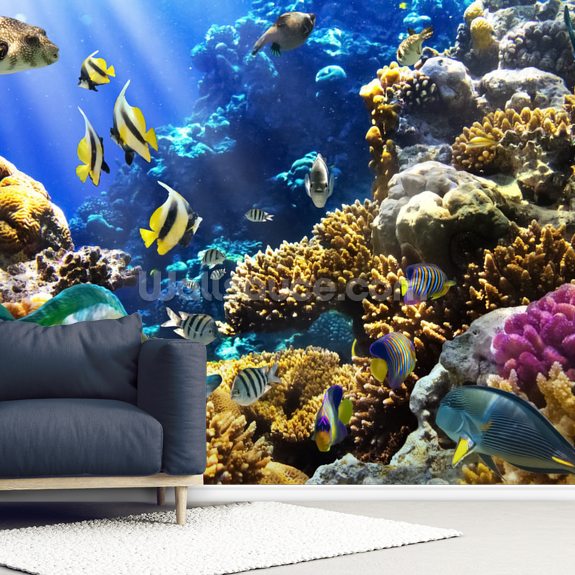 Coral Life Wallpaper | Wallsauce UK