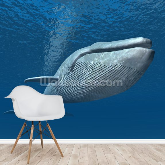 blue whale wallpaper wallsauce us blue whale