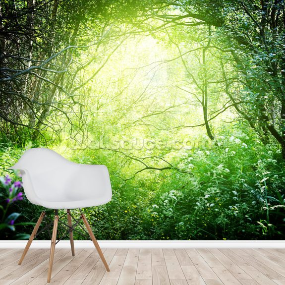 Deep Forest Light Wallpaper Mural 