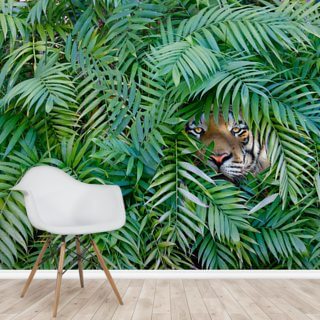 Tiger Hide And Seek Wall Mural Wallsauce Uk Images, Photos, Reviews