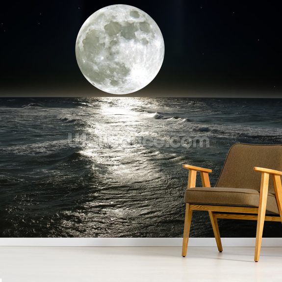 Moon Wallpaper Mural | Wallsauce AU