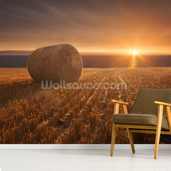 Gold Harvest Wall Mural | Wallsauce UK