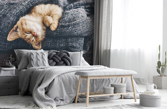 Cat Wallpaper & Wall Murals | Wallsauce EU