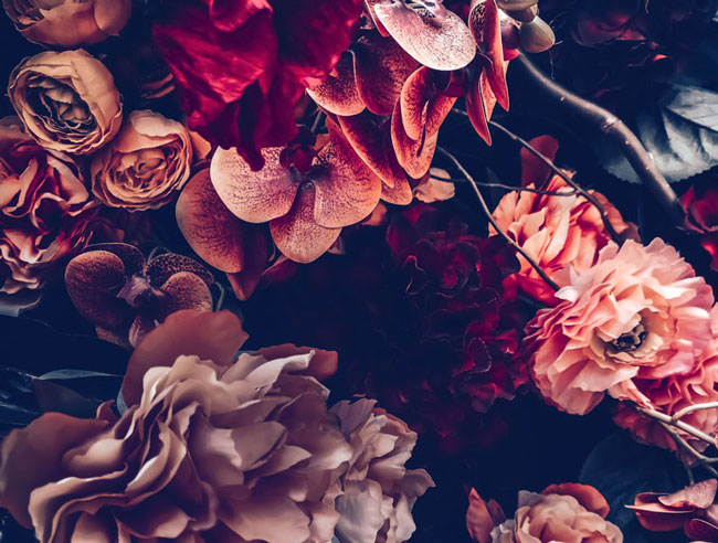 Featured image of post Dark Floral Wallpaper Phone - Looking for the best dark flower wallpaper?