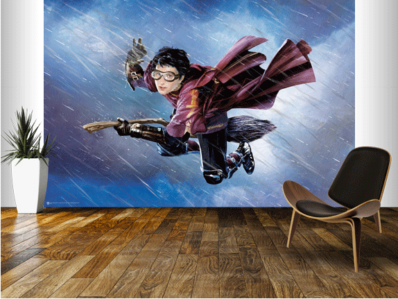 Harry Potter Wall Murals & Digital Wallpaper 