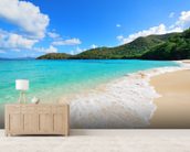 Beautiful Virgin Islands Beach Wallpaper Wall Mural | Wallsauce UK