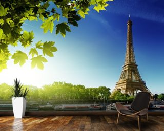 France Wallpaper & Wall Murals | Wallsauce