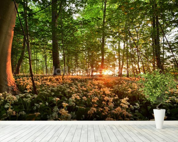 Sunlight Glow over Forest Flowers Wallpaper Wall Mural | Wallsauce Canada