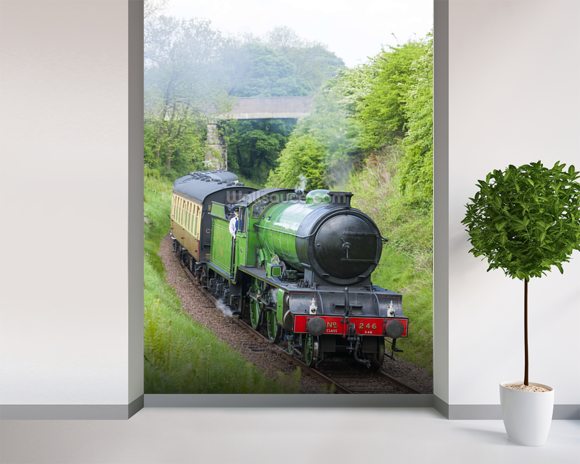 Steam Train in Countryside Wallpaper Wall Mural | Wallsauce USA