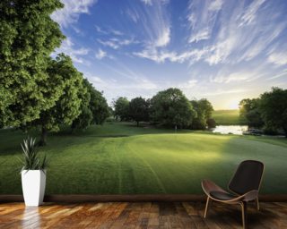 Magic Hour Golf Wall Murals & Photo Wallpaper | Wallsauce USA