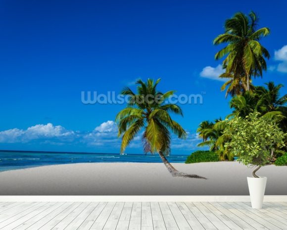 Lone Palm Dominican Republic Wallpaper Wall Mural | Wallsauce USA