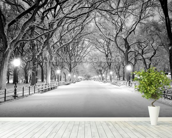 Central Park Covered in Snow Wallpaper Mural | Wallsauce Australia