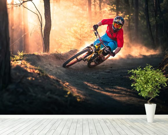 Mountain Biker Wall Mural & Mountain Biker Wallpaper | Wallsauce UK