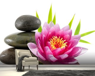 Lotus Flower Wallpaper & Wall Murals | Wallsauce USA