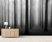 In a Fog Wall Mural & In a Fog Wallpaper | Wallsauce UK