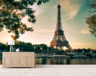 Paris Wallpaper & Wall Murals | Wallsauce USA