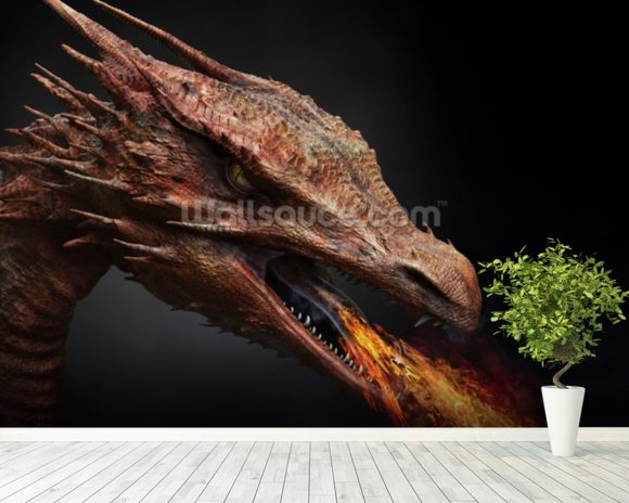 Dragon Wallpaper Wall Mural | Wallsauce Australia