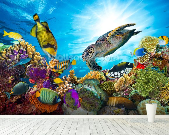 Coral Reef Diversity Wallpaper Wall Mural | Wallsauce Canada