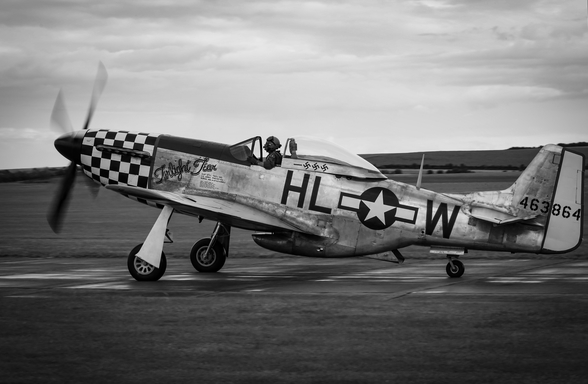 P51 Mustang Wall Mural Wallsauce Nz