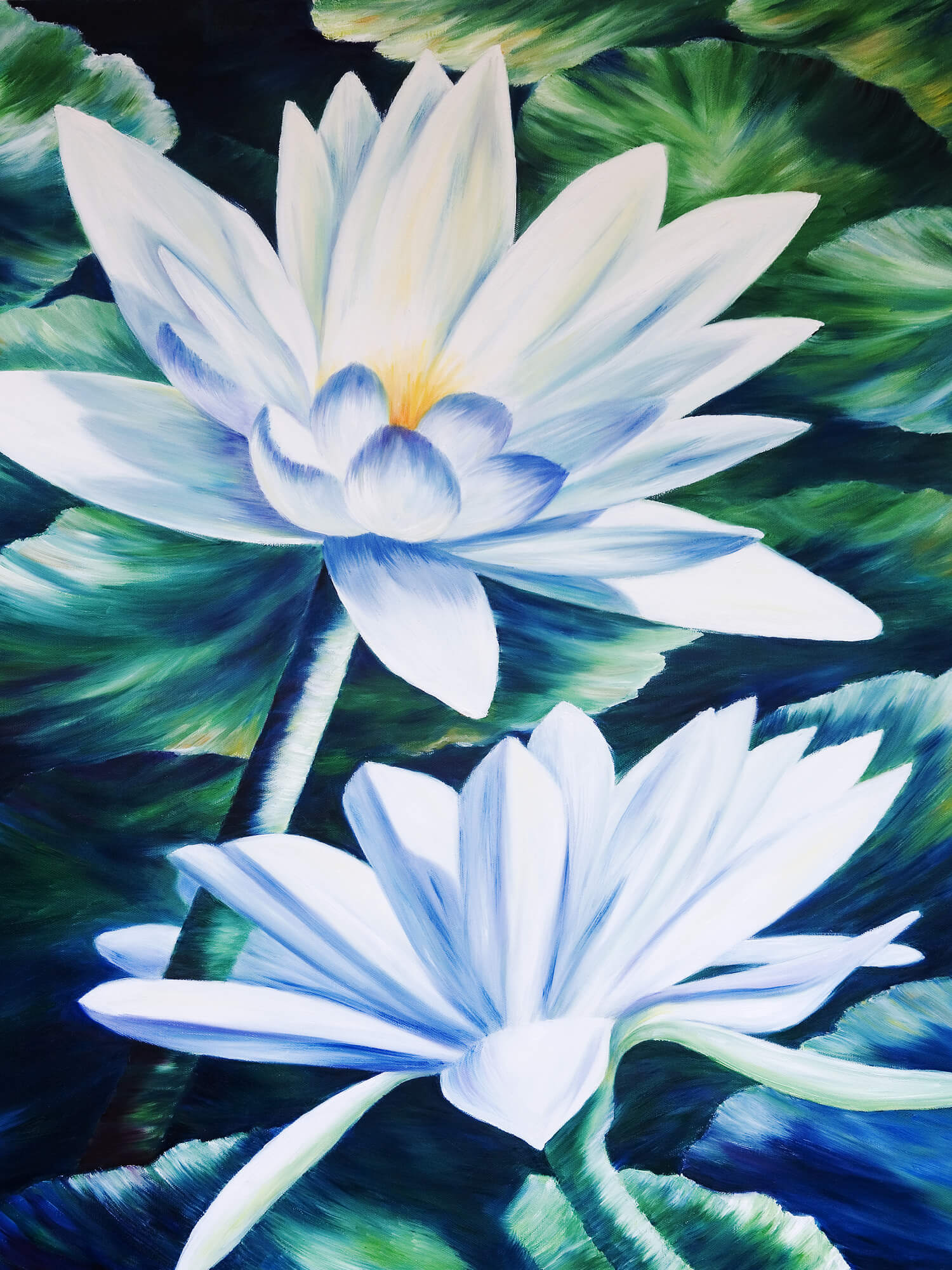 White Waterlilies In Pond - Oil Painting Wall Mural & White Waterlilies ...