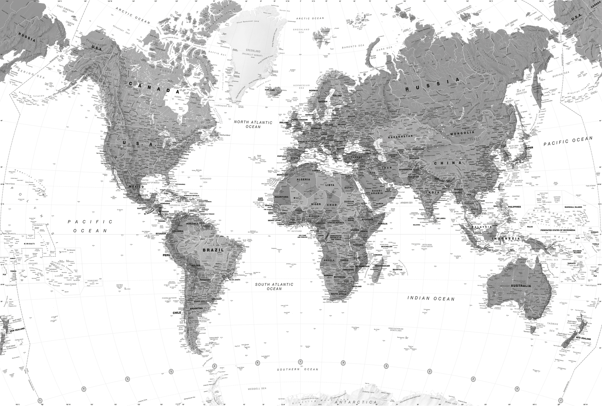 World Map Monochrome Wall Mural  Wallsauce US