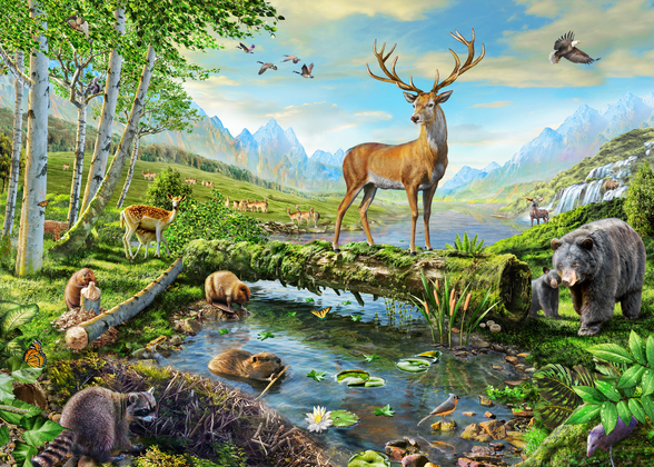 Wildlife Splendor USA Wallpaper | Wallsauce US