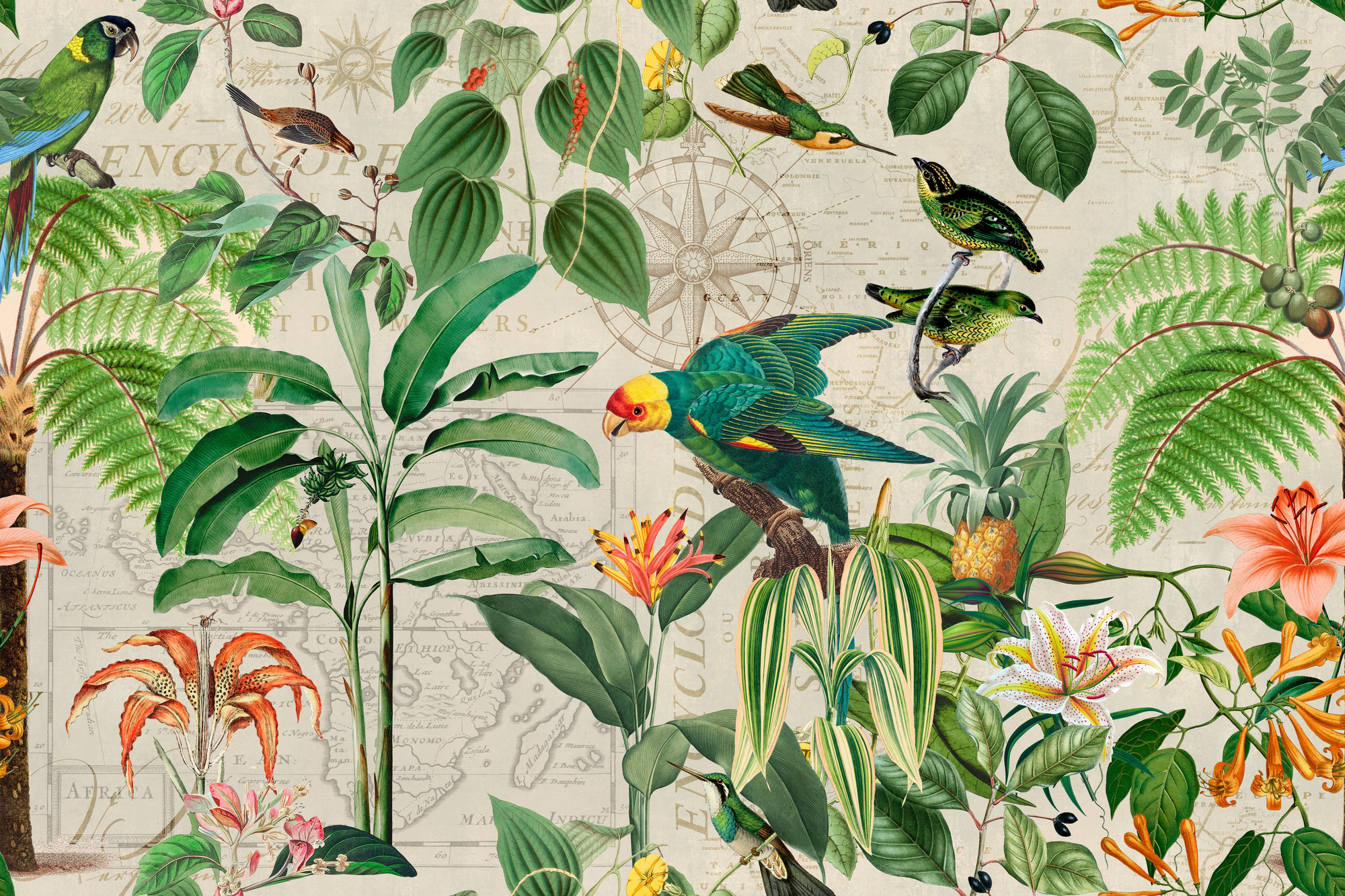 Kingdom of Birds Wallpaper Mural by Andrea Haase | Wallsauce US