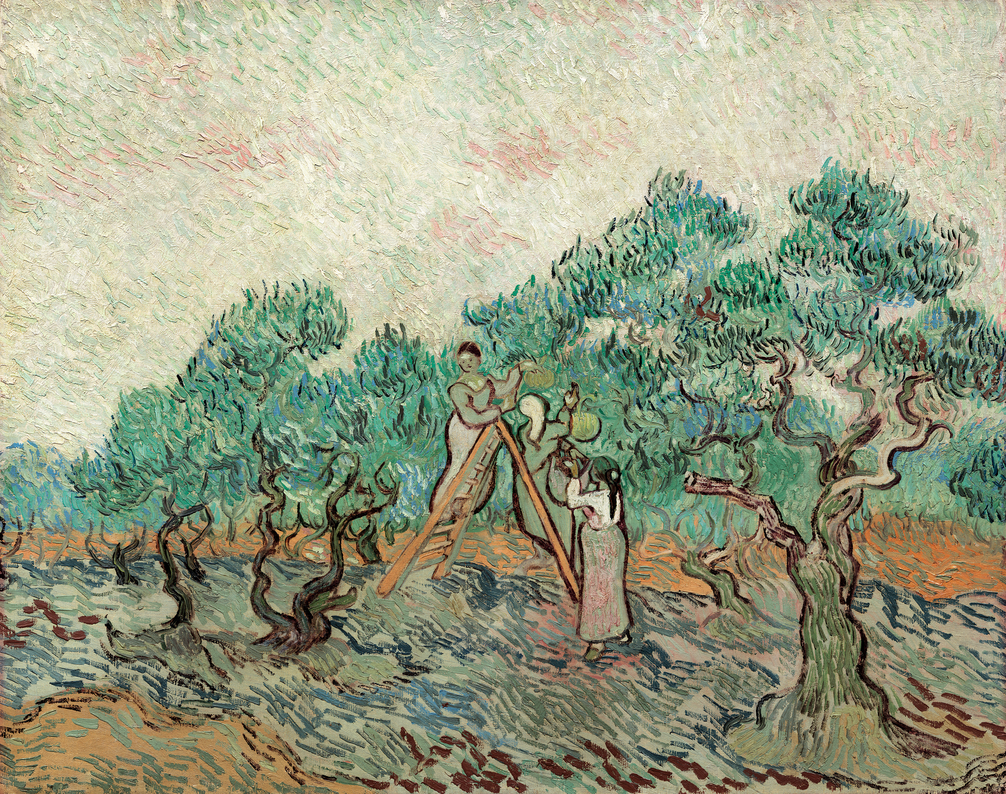 Van Gogh The Olive Grove Wall Mural Wallsauce US