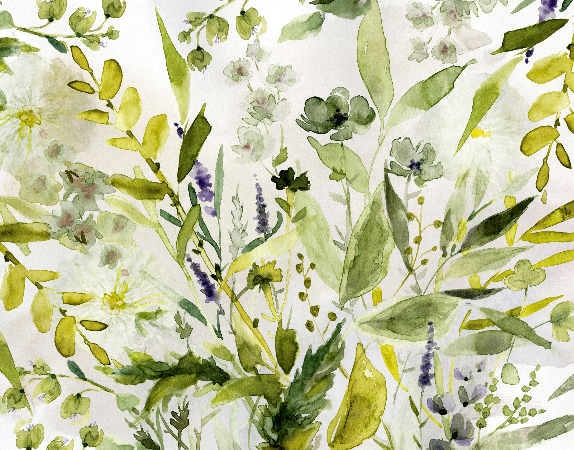 Olive Green Plants Wallpaper by Carol Robinson | Wallsauce US