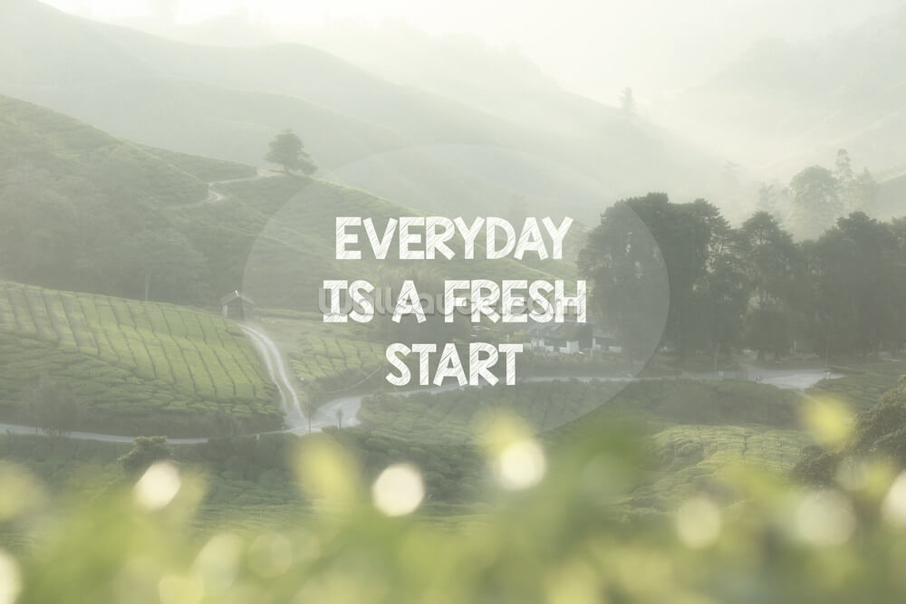 Everyday is a Fresh Start Mural | Wallsauce US