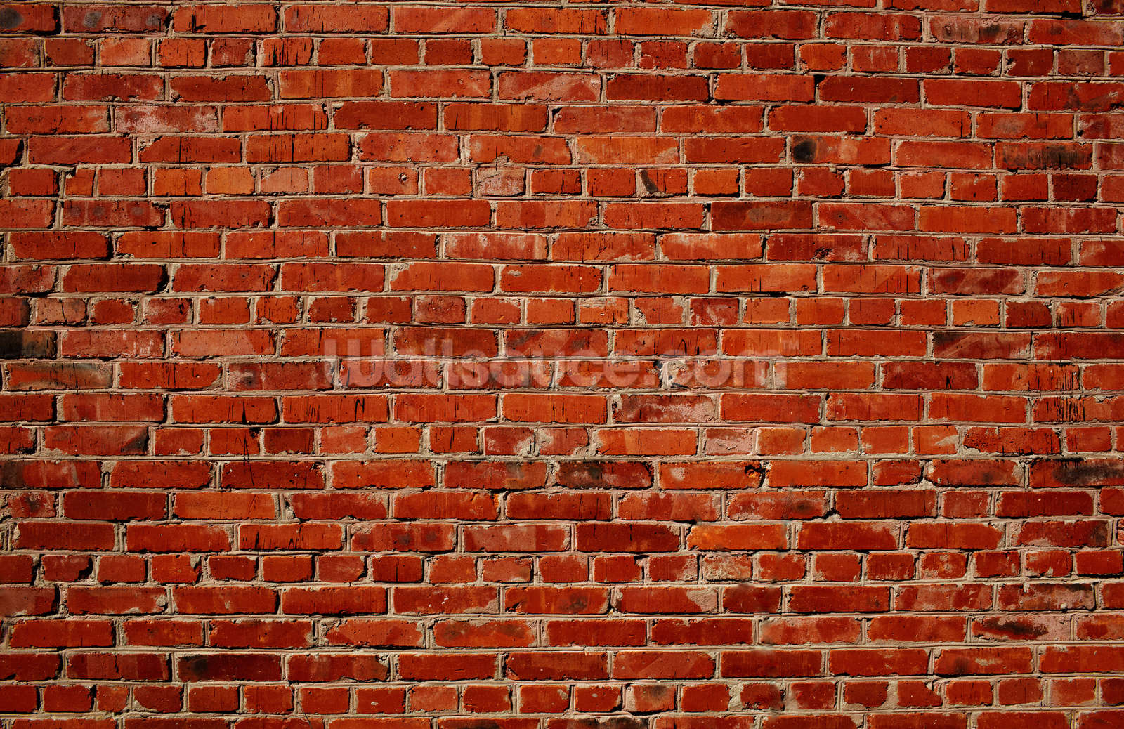 Red Brick Wall Wallpaper | Wallsauce US