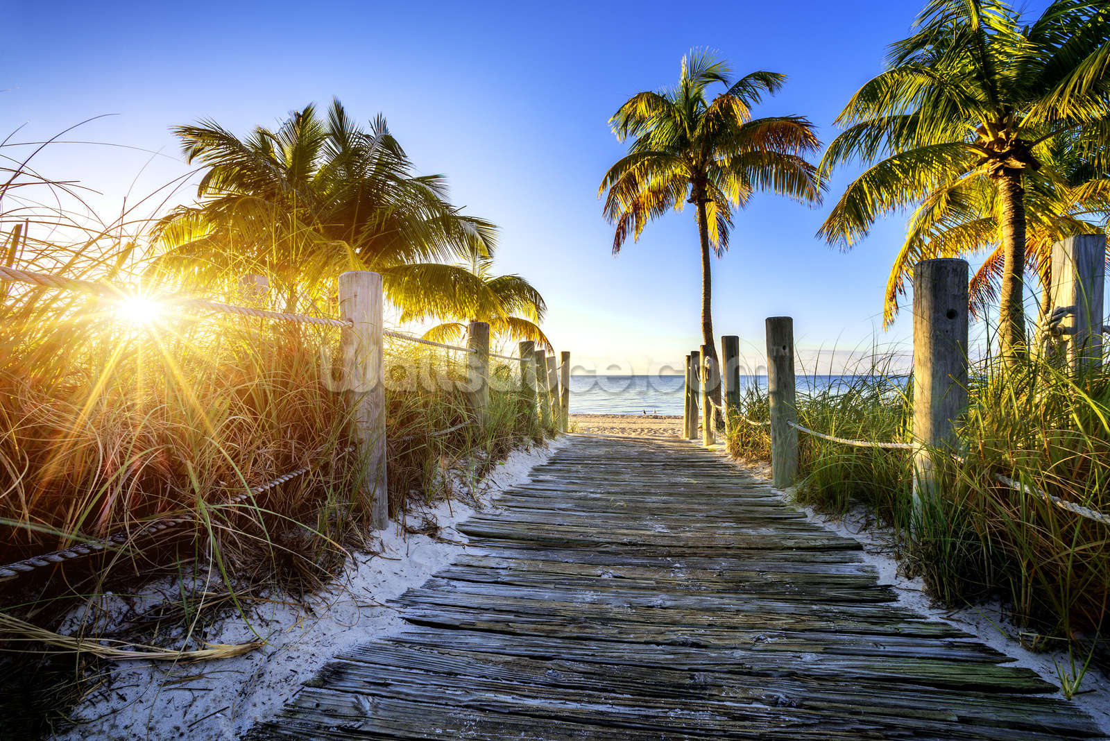 Boardwalk Sunrise Wallpaper | Wallsauce US